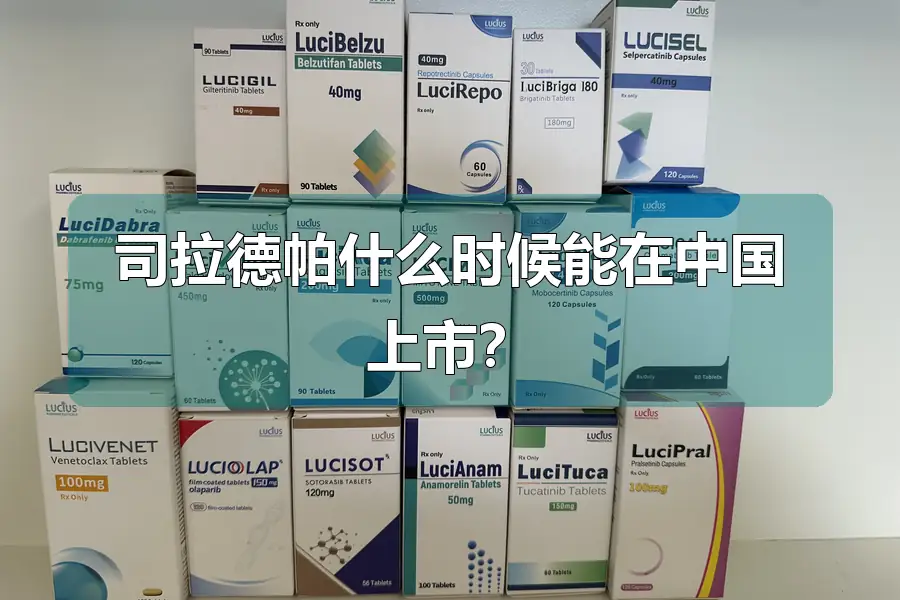 司拉德帕什么时候能在中国上市？
